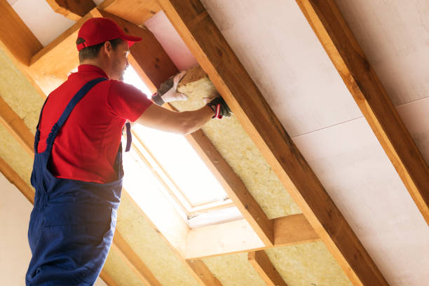 Best Attic Insulation Installation  in Oxnard, CA